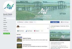 Aquatic Weeds Facebook page